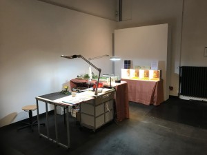 IMG_2869.jpg