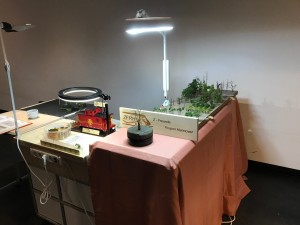 IMG_2874.jpg