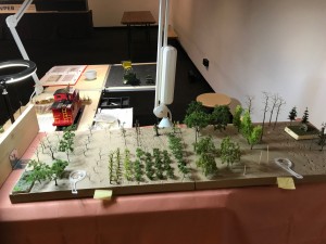 IMG_2875.jpg