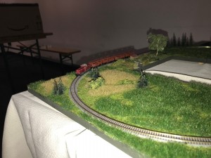 IMG_2883.jpg