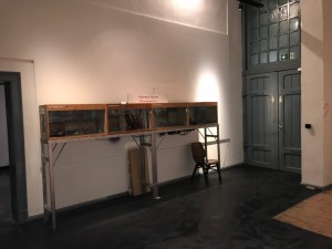 IMG_2894.jpg