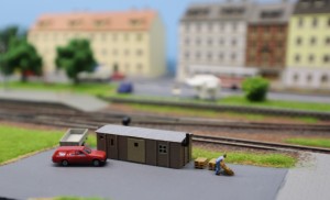 Kleinleben_5.jpg