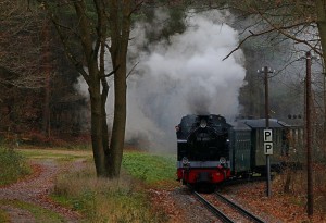 24 12 07 4801 west3.jpg