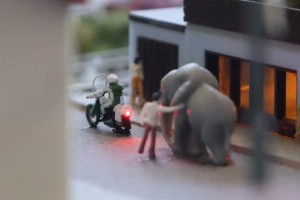 07_Elefant.jpg