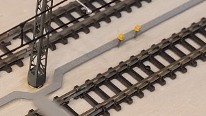 20241228_135015.jpg