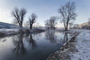 IMG_20250104_090127.jpg