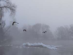 IMG_20250106_084236.jpg