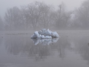 IMG_20250106_084210.jpg