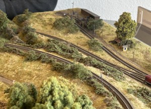 2025S Sinnweiler 5.jpg