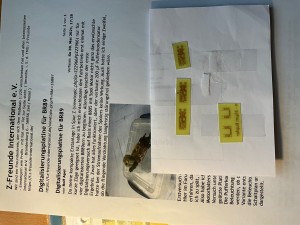 IMG_8874.jpeg