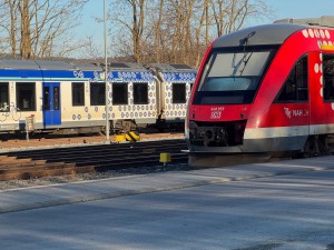 IMG_5425.jpg