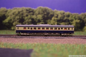 DMU_JNR.jpg