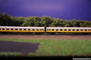 BR111_LAE_1.jpg