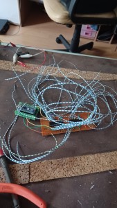 20220823_150251.jpg