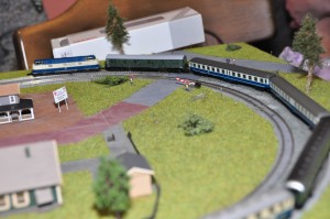 DSC_5146.JPG