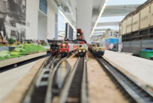 Auf die Brettel, fertig, los!