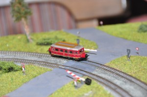 DSC_5182.JPG