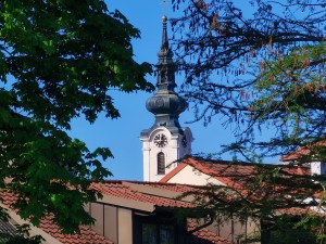 IMG_20250427_090249.jpg