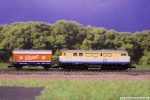 V216_Brandt.jpg