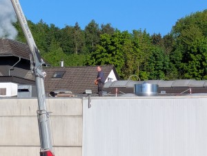 PXL_20250513_063002917.jpg