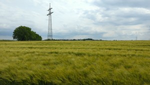 IMG-20250609-WA0017.jpeg