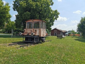 IMG_20250619_115848.jpg