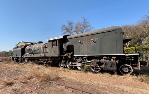 IMG_1939.jpeg