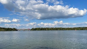 IMG_1876.jpeg