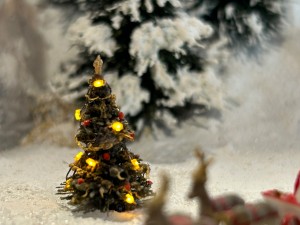 IMG_4813.jpeg