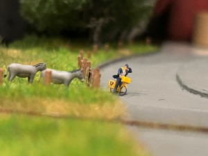 IMG_4771.jpeg