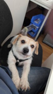 WhatsApp Bild 2025-10-19 um 10.18.12_336b4dad.jpg