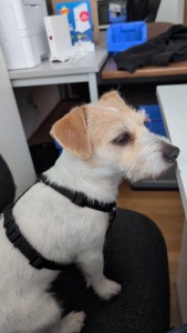 WhatsApp Bild 2025-10-19 um 10.19.33_cd84d1e9.jpg