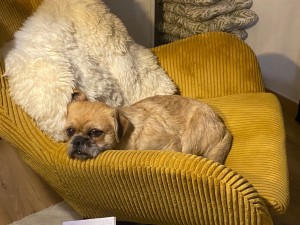IMG_3911.jpeg