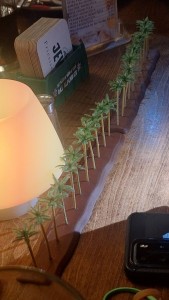 20251104_195205.jpg