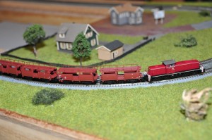 DSC_6707.JPG