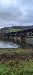 IMG_20251206_135511723_HDR.jpg