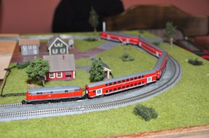 DSC_6754.JPG