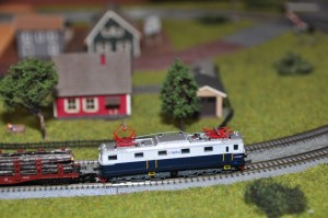 DSC_6767.JPG