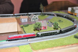 DSC_6772.JPG