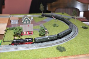 DSC_6776.JPG