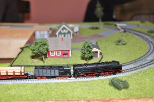 DSC_6777.JPG