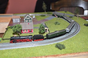 DSC_6784.JPG