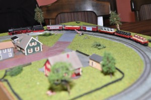 DSC_6785.JPG