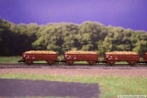 V36_Rübe_1.jpg