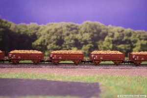 V36_Rübe_2.jpg