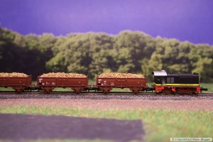 V36_Rübe_3.jpg