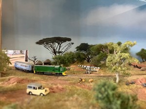 Expeditionen ins Tierreich