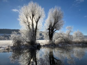 IMG_0504.jpeg
