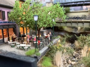 IMG_0607.jpeg