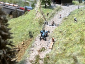 IMG_0646.jpeg